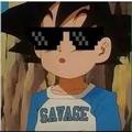 Savage Goku - dragon-ball-z photo