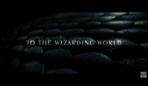  Screencaps Fantastic Beasts and Where to Find Them Trailer