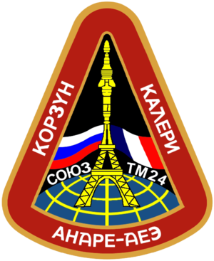 Soyuz TM 24 Mission Patch