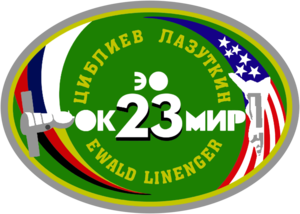 Soyuz TM 25 Mission Patch