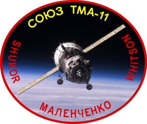 Soyuz TMA 11 Mission Patch