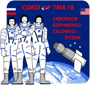 Soyuz TMA 18 Mission Patch