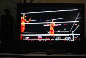  The Bella Twins w/ Roman Reigns in SummerSlam at WWE 2K16 (2)