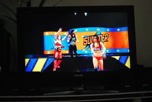 The Bella Twins w/ Roman Reigns in SummerSlam at WWE 2K16