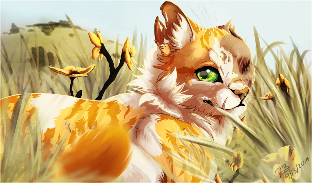 Brightheart By Rae Elic D7yz8h2 Warrior Cats Photo 39428442