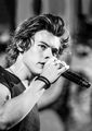 c0f8a360a4437afb146ee5b4a1229d57 - harry-styles photo