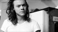 download - harry-styles photo