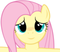 fluttershy hugging you by loving brony d85uuwz - my-little-pony-friendship-is-magic photo