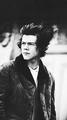images  1  - harry-styles photo