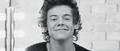 images  14  - harry-styles photo
