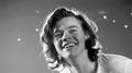 images  21  - harry-styles photo