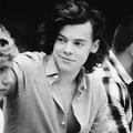 images  24  - harry-styles photo