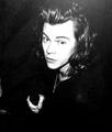 images  26  - harry-styles photo