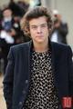 images  30  - harry-styles photo