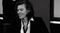 images  33  - harry-styles photo