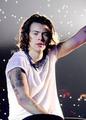 images  35  - harry-styles photo