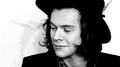 images  37  - harry-styles photo