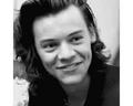 images  38  - harry-styles photo