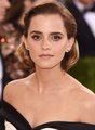  Emma Watson at the MetGala May 2, 2016 (HQs) - emma-watson photo
