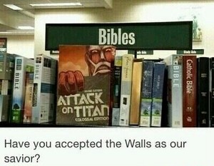  Bibles