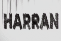 Crisis in Harran - video-games fan art