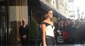  Emma Watson at the Met Gala May 02, 2016 (Social Media)