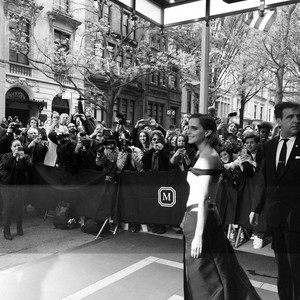 Emma Watson at the Met Gala  May 02, 2016 (Social Media)