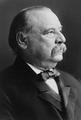 Grover Cleveland 22nd and 24th President - the-presidents-of-the-united-states photo