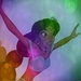 Jasmine Singing Rainbow Bokeh Icon - disney-princess icon