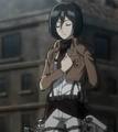 Mikasa - anime photo