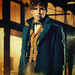 Newt Scamander - fantastic-beasts-and-where-to-find-them icon
