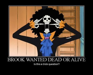 One Piece, Brook Meme