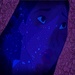 Pocahontas Purple Icon - disney-princess icon