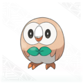 Rowlet - pokemon photo
