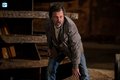 Supernatural - Episode 11.21 - All In The Family - Promo Pics - supernatural photo
