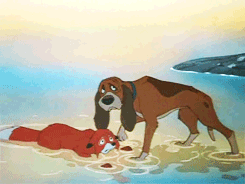  The rubah, fox and the Hound gifs