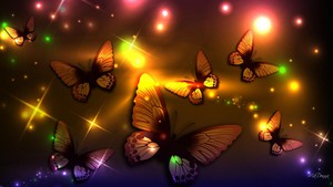  vlinder lights ii