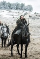 6x09- Battle of the Bastards - game-of-thrones photo