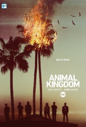  Animal Kingdom Poster