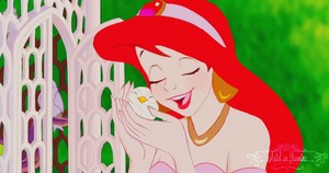  Ariel as melati, jasmine