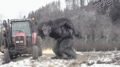 Bigfoot GIF - random photo