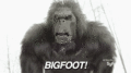 Bigfoot GIF  - random photo