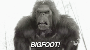  Bigfoot GIF