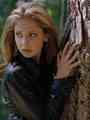 Buffy 74 - bangel photo