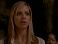 Buffy the Vampire Slayer - tv-female-characters photo
