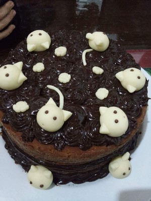 Chocolate kitten cake 