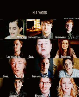  Describe Harry Potter in one word: Cast