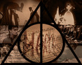 Harry Potter Wallpapers ♥ - harry-potter photo