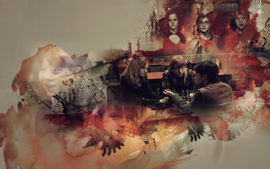 Harry Potter Wallpapers ♥