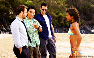  Hawaii Five-O hình nền